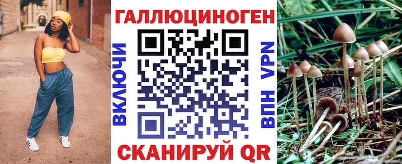 Галлюциногенные грибы Magic Shrooms  Новомосковск 