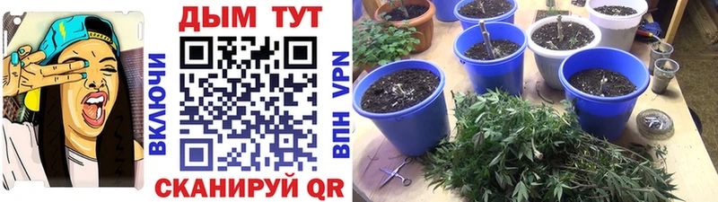 дарнет шоп Новомосковск Бошки Шишки Bruce Banner